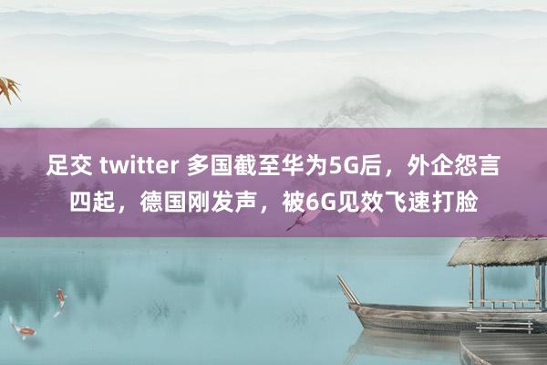 足交 twitter 多国截至华为5G后，外企怨言四起，德国刚发声，被6G见效飞速打脸