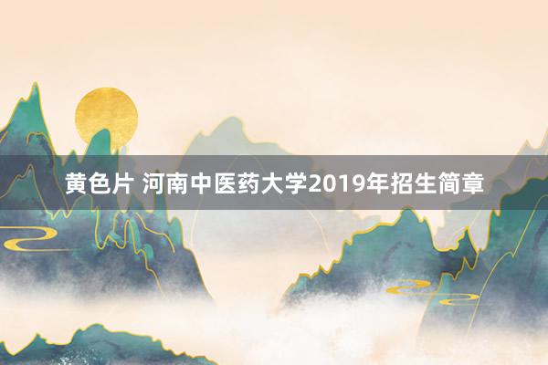 黄色片 河南中医药大学2019年招生简章